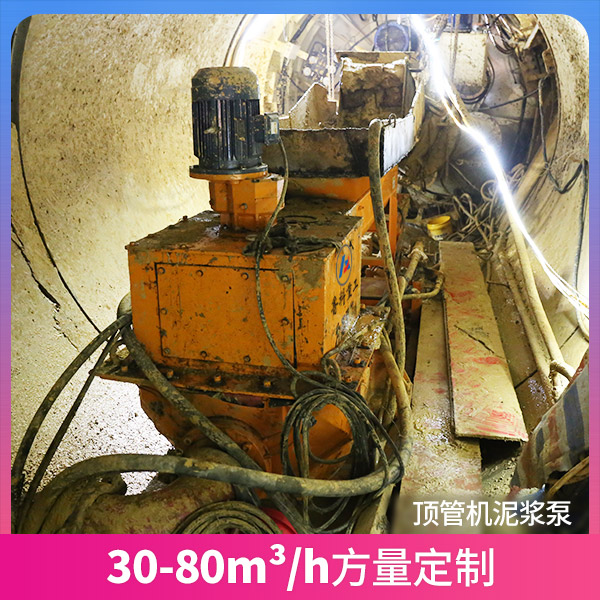 上海顶管机专用泵厂家.jpg