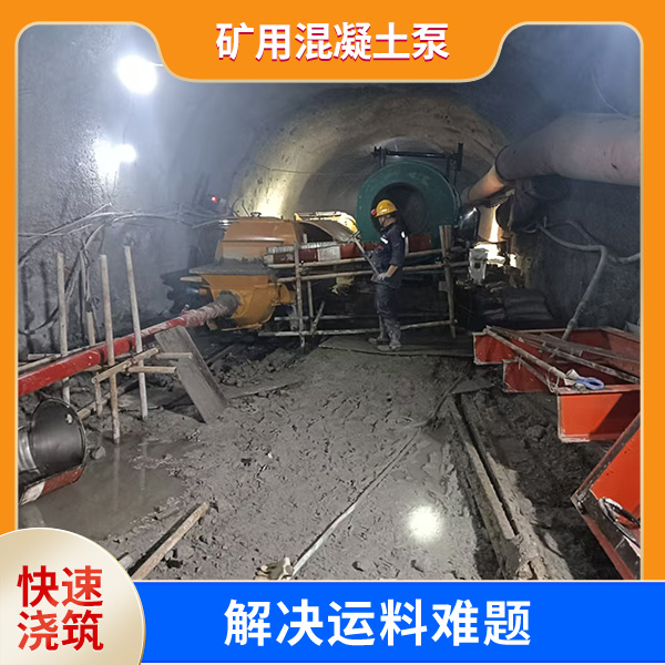矿用混凝土输送泵.jpg 矿用混凝土输送泵.jpg